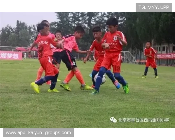 鲁能青训改革初现成效,多名梯队球员获一线时间 鲁能青训改革初现成效,多名梯队球员获一线时间